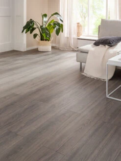 Klick-Laminat, Greige Oak 62255