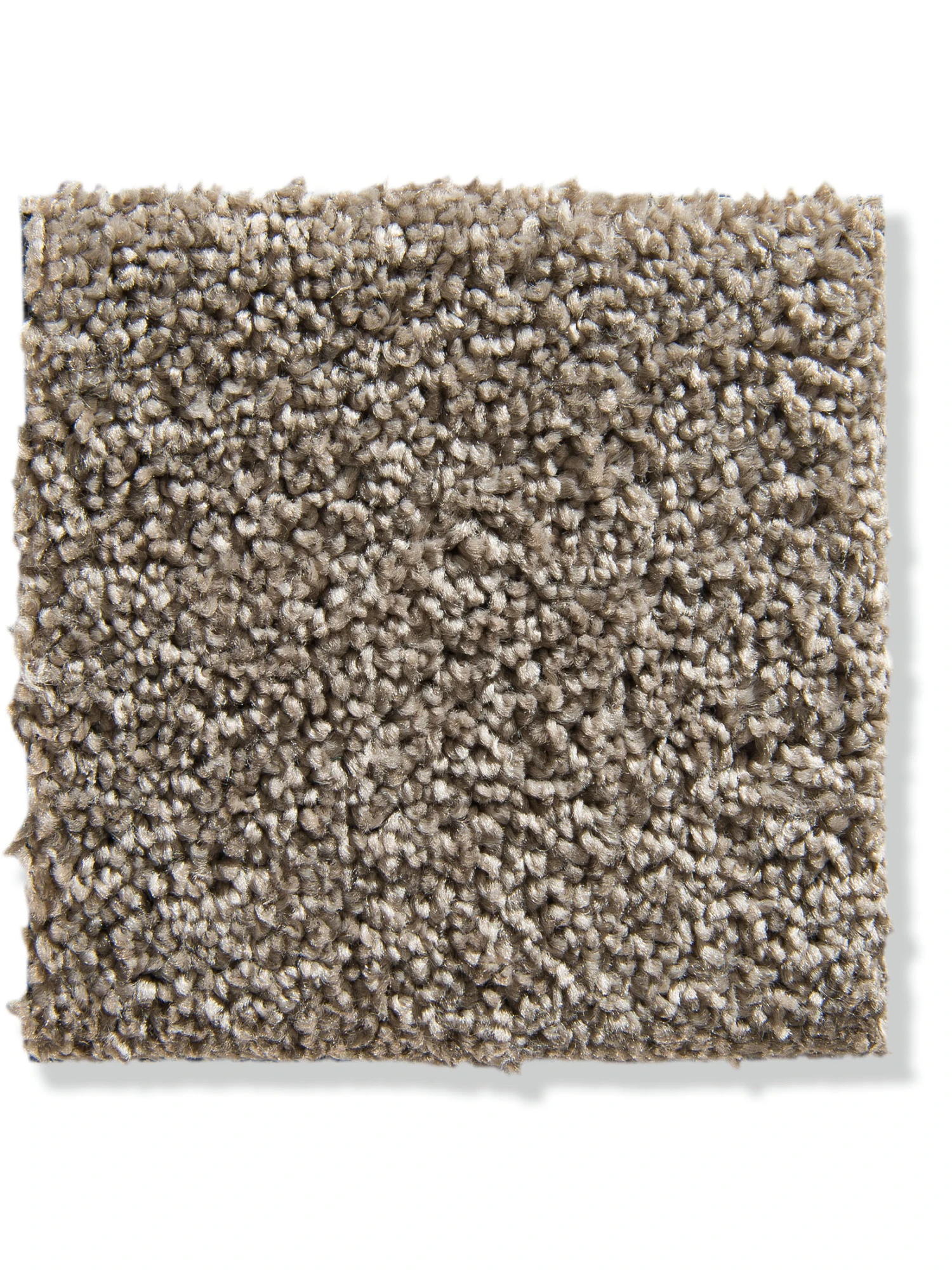 Velours-Teppichboden, Cappuccino – Bild 2