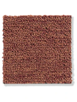 Schlingen-Teppichboden, Terra 38